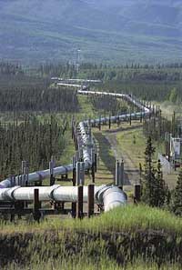 The Trans-Alaska Pipeline zigzags in the wilderness.