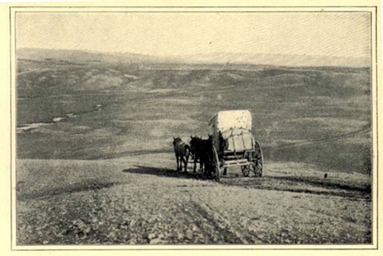 Circa 1890 Wyoming oil history image of a lone horse and wagon in vast plain.